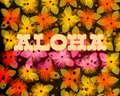 Aloha Lehua 1974
