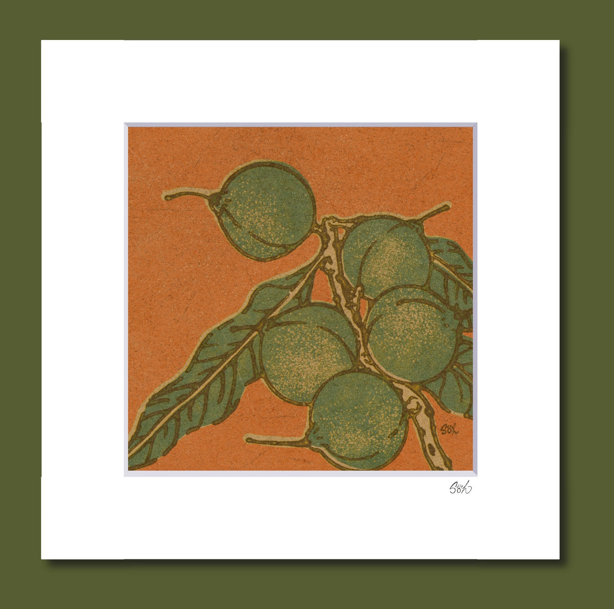 Mac Nuts * Waiwai 'Aina Series 1